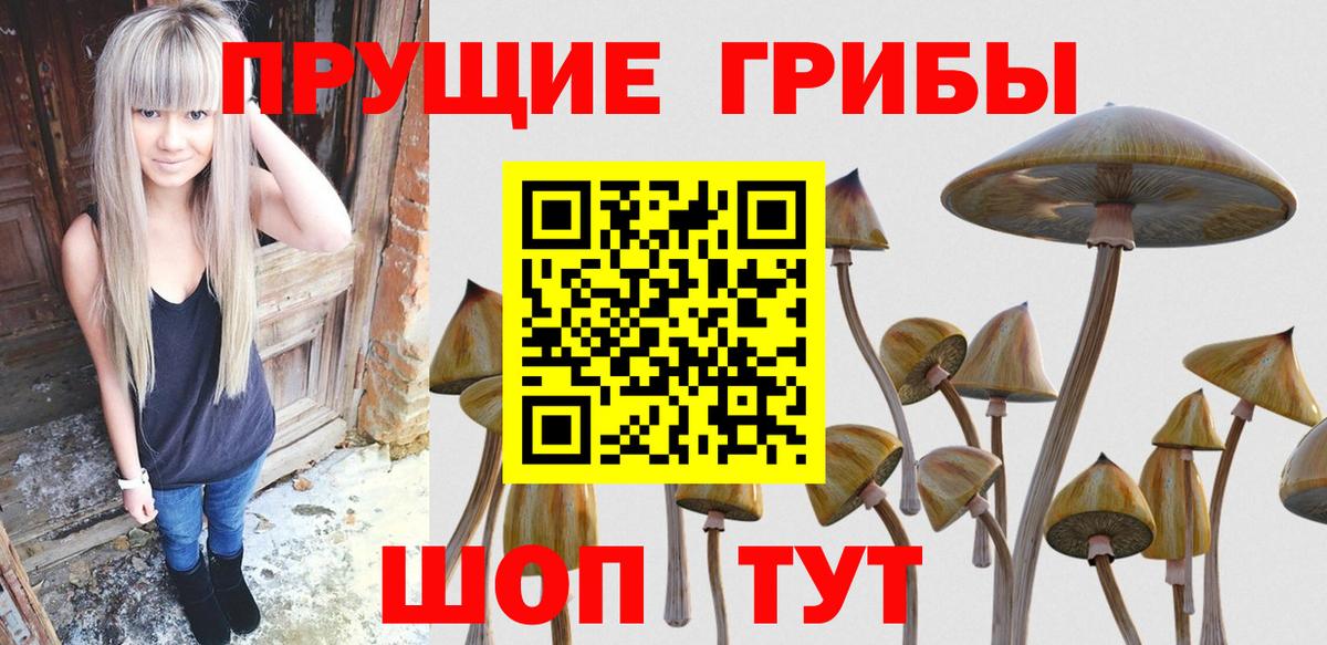 Галлюциногенные грибы MAGIC MUSHROOMS  Вход с VPN  сколько стоит  Звенигород 