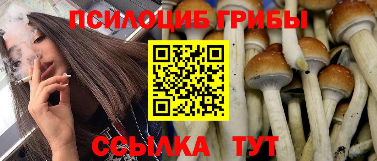 Псилоцибиновые грибы ЛСД Звенигород